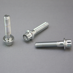 Flange 12-Point Screw